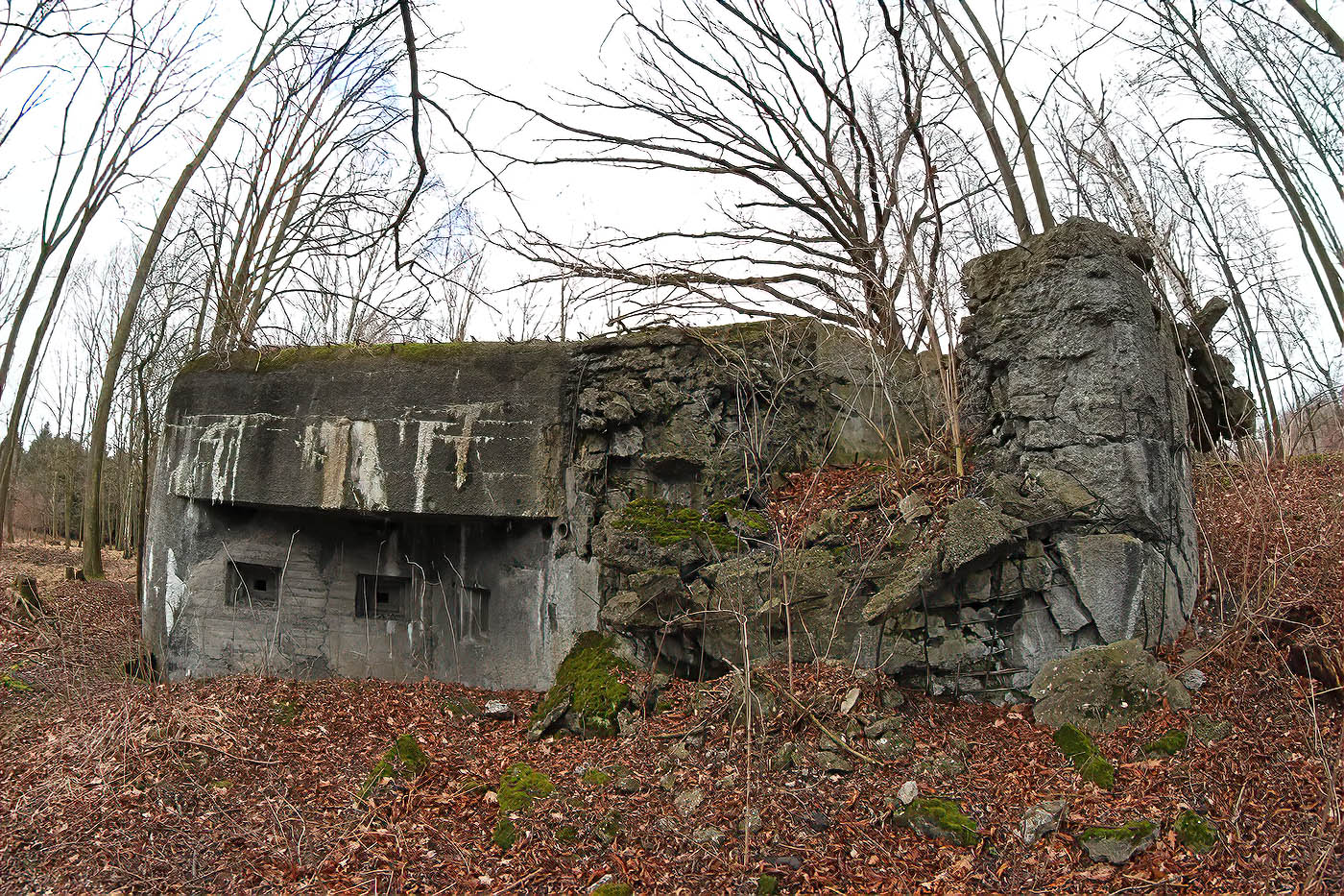 mos9 Bazantnice-3.jpg